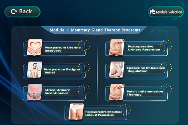 <span style="color:#27ae60;"><strong><span style="font-size:13px;">Module 1：Postpartum &amp; Gynecology Therapy Programs</span></strong></span>
